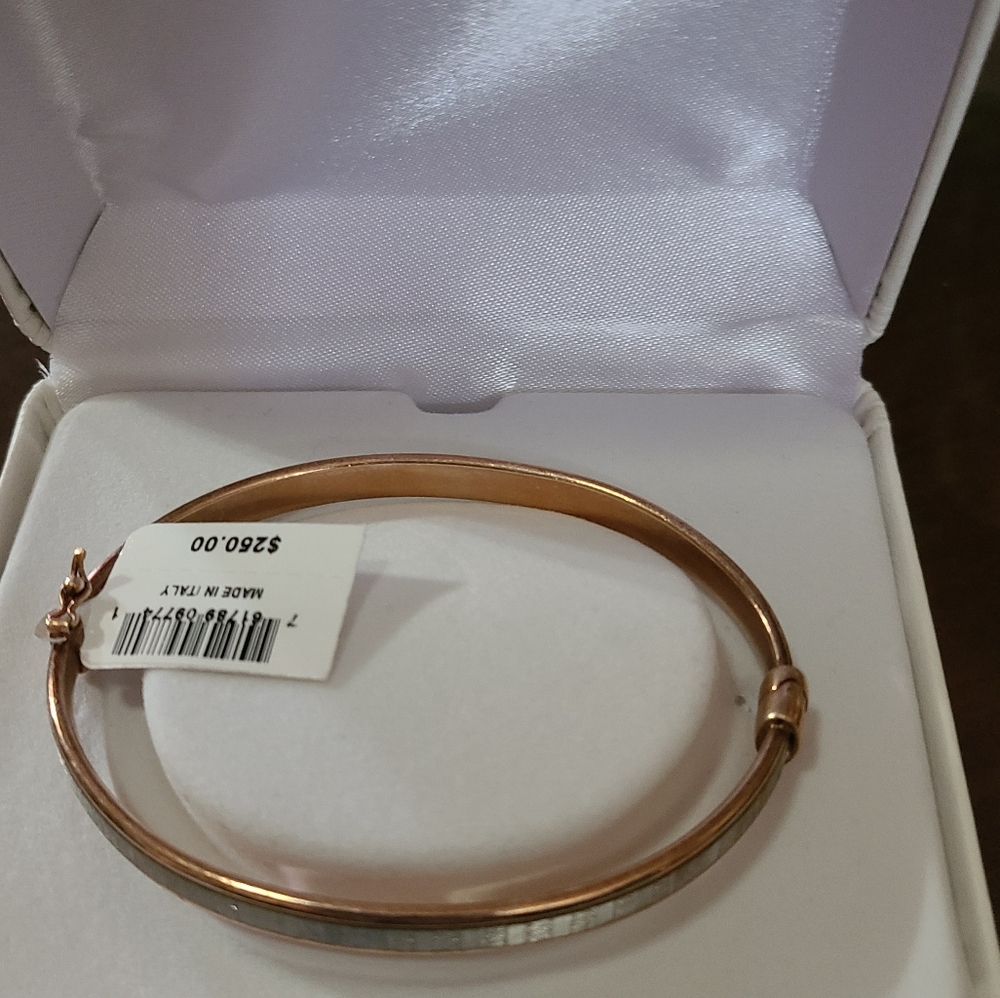 NWT Rose Gold and Silver Tone Bangle Bracelet